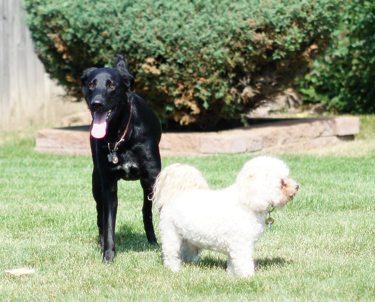 FITZ AND FRIENDS