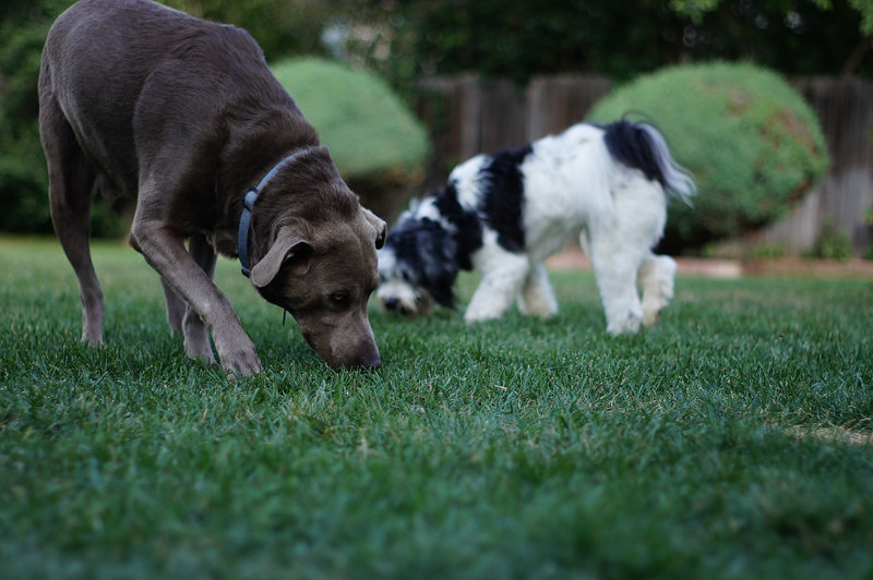 FITZ AND FRIENDS