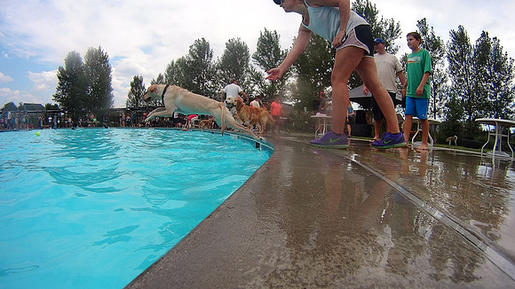 Dog Daze | Stapleton MCA