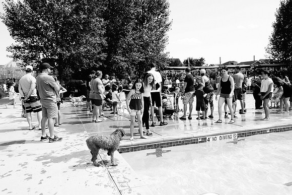 Dog Daze | Stapleton MCA