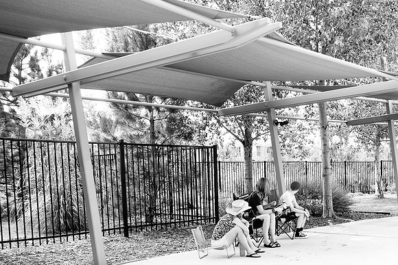 Dog Daze | Stapleton MCA