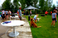 Dog Daze | Stapleton MCA