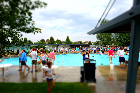 Dog Daze | Stapleton MCA