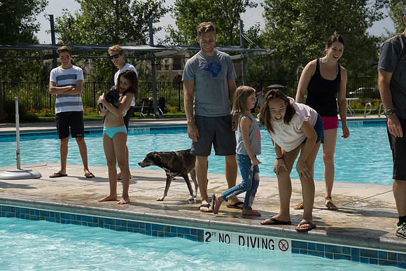 Dog Daze | Stapleton MCA