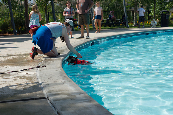 Dog Daze | Stapleton MCA