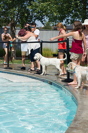 Dog Daze | Stapleton MCA