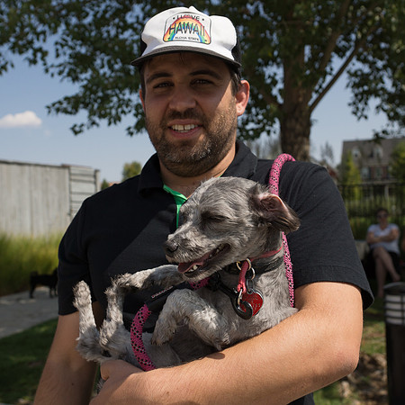 Dog Daze | Stapleton MCA