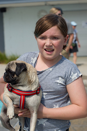 Dog Daze | Stapleton MCA
