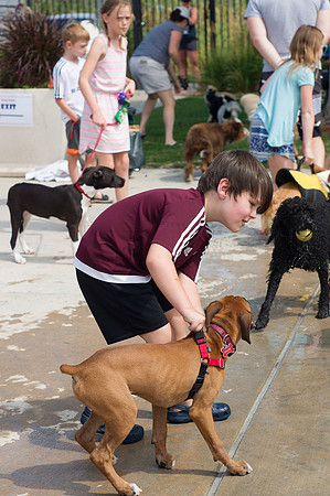 Dog Daze | Stapleton MCA