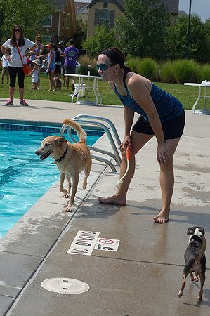 Dog Daze | Stapleton MCA