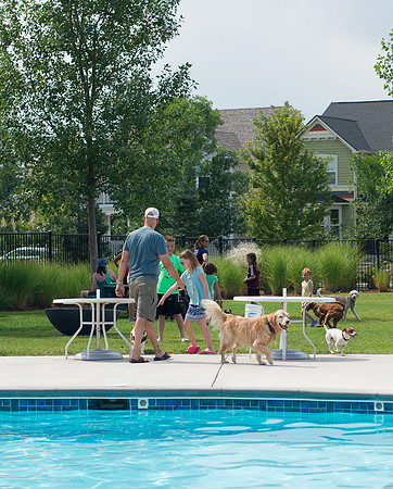 Dog Daze | Stapleton MCA