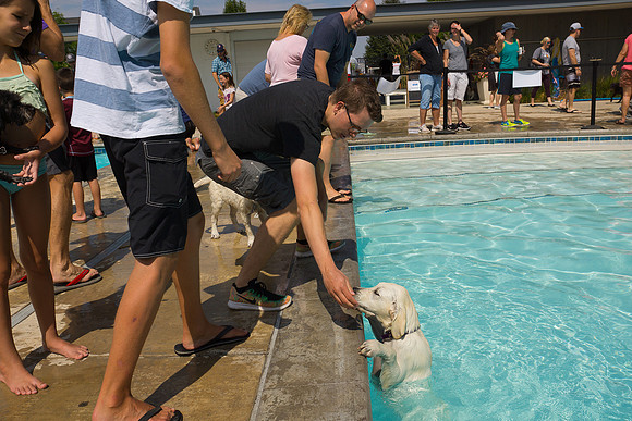 Dog Daze | Stapleton MCA