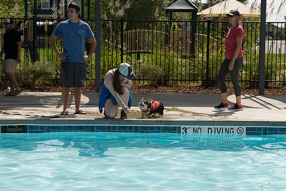 Dog Daze | Stapleton MCA