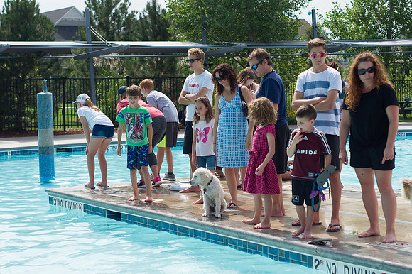 Dog Daze | Stapleton MCA
