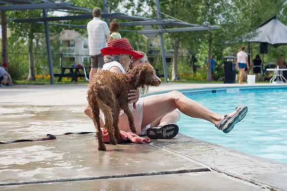Dog Daze | Stapleton MCA