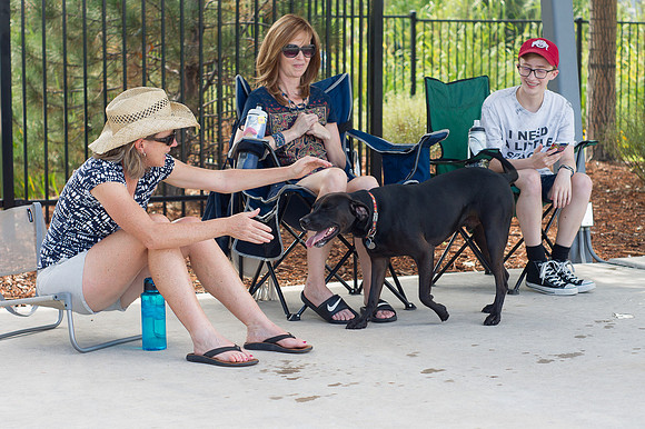 Dog Daze | Stapleton MCA