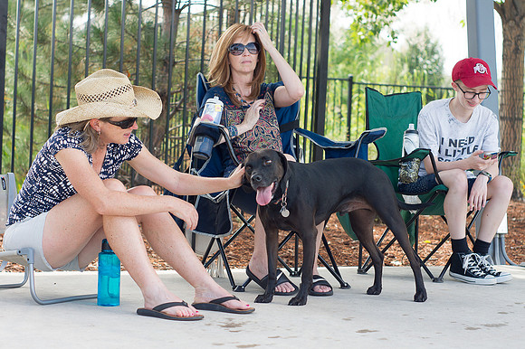 Dog Daze | Stapleton MCA