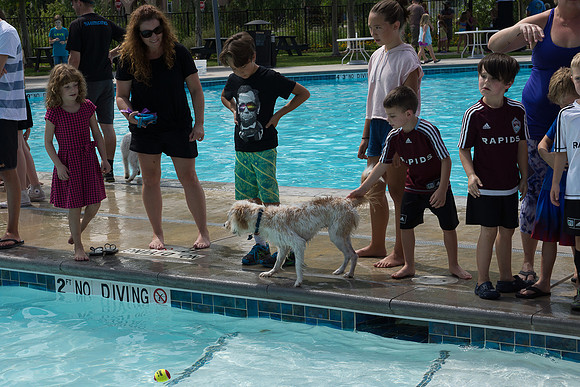 Dog Daze | Stapleton MCA
