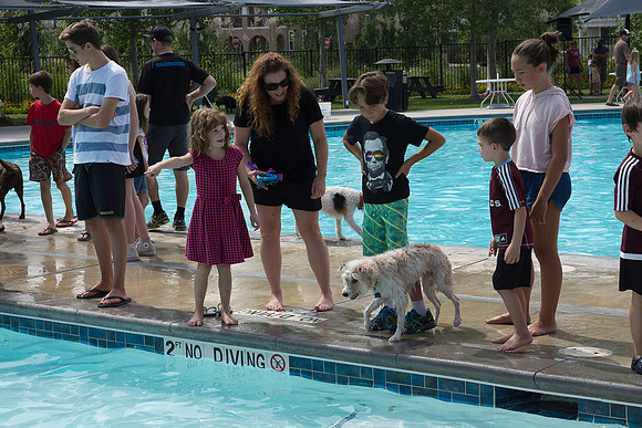 Dog Daze | Stapleton MCA