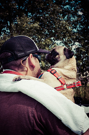 Dog Daze | Stapleton MCA