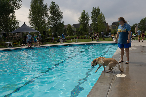 Dog Daze | Stapleton MCA