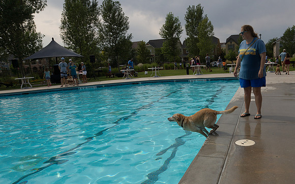 Dog Daze | Stapleton MCA