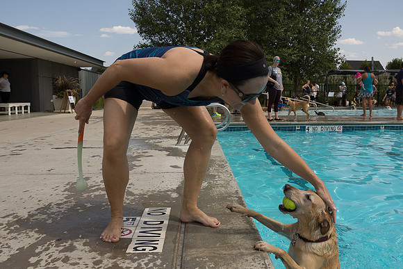 Dog Daze | Stapleton MCA