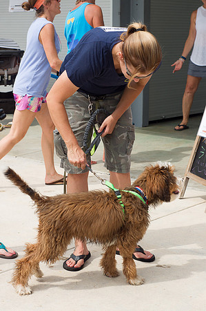 Dog Daze | Stapleton MCA