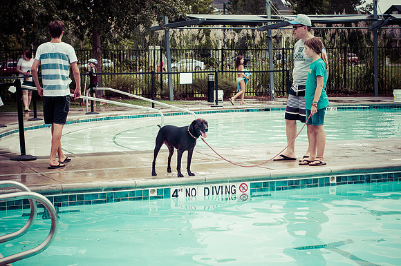 Dog Daze | Stapleton MCA