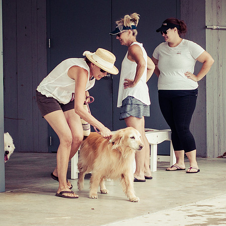 Dog Daze | Stapleton MCA