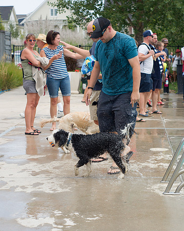 Dog Daze | Stapleton MCA