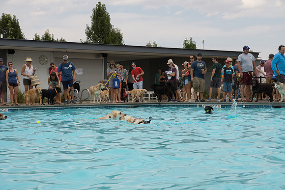 Dog Daze | Stapleton MCA