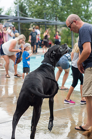 Dog Daze | Stapleton MCA