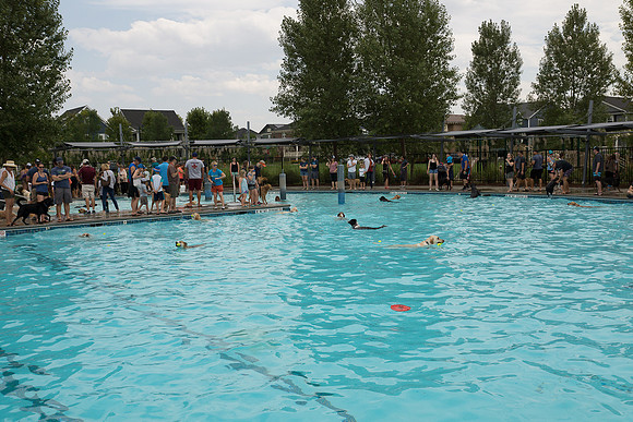 Dog Daze | Stapleton MCA