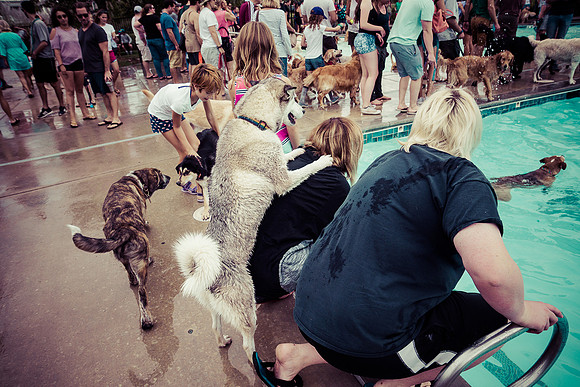 Dog Daze | Stapleton MCA