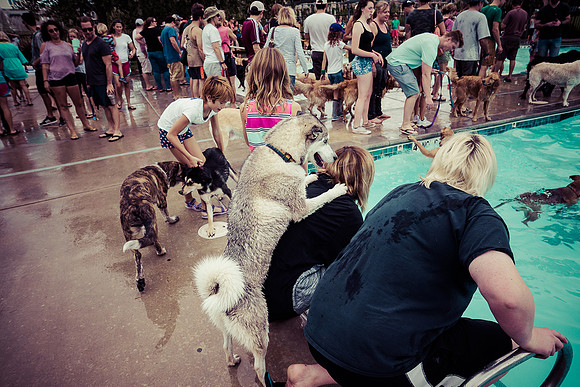 Dog Daze | Stapleton MCA