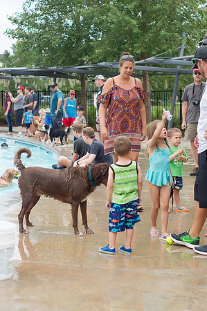 Dog Daze | Stapleton MCA