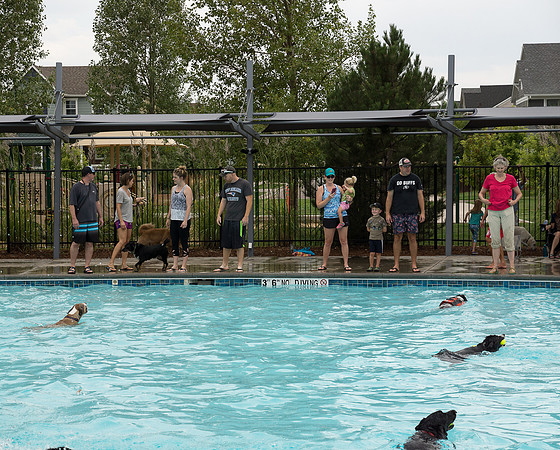 Dog Daze | Stapleton MCA