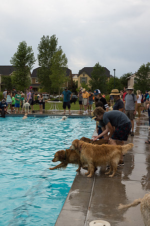 Dog Daze | Stapleton MCA