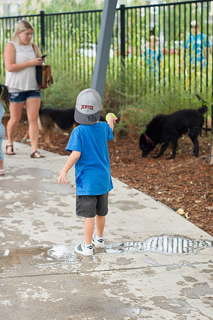 Dog Daze | Stapleton MCA