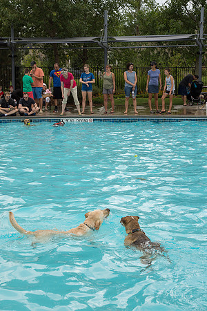 Dog Daze | Stapleton MCA