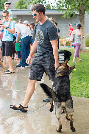 Dog Daze | Stapleton MCA