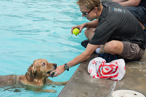 Dog Daze | Stapleton MCA