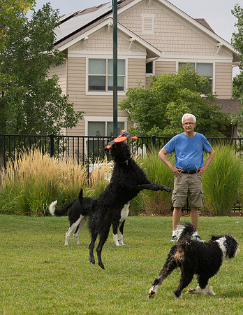 Dog Daze | Stapleton MCA
