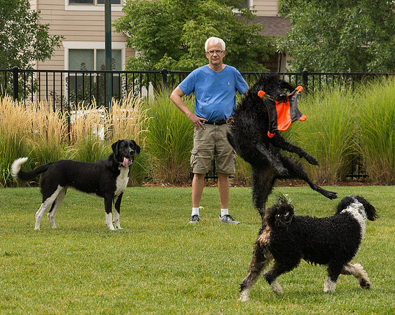 Dog Daze | Stapleton MCA