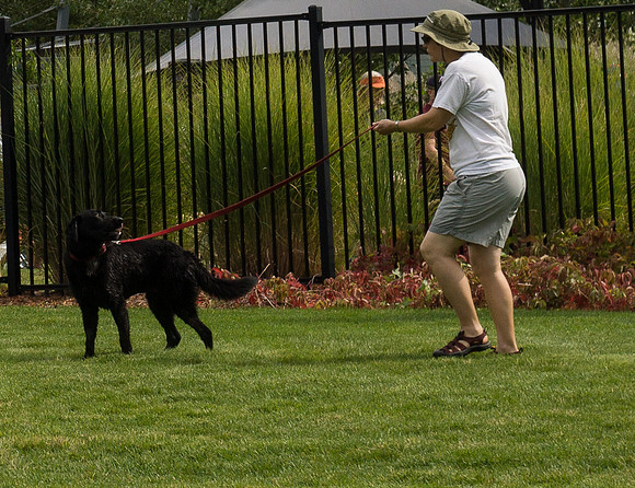 Dog Daze | Stapleton MCA