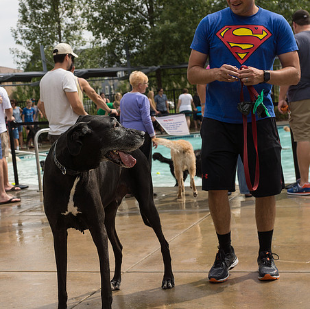 Dog Daze | Stapleton MCA