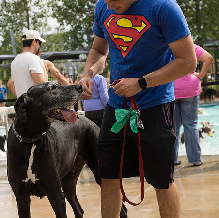Dog Daze | Stapleton MCA