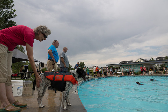 Dog Daze | Stapleton MCA