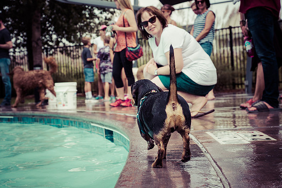 Dog Daze | Stapleton MCA